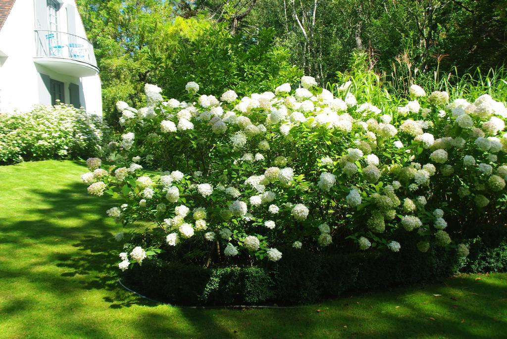 Le Touquet So Touquet Bed & Breakfast エクステリア 写真